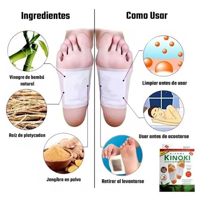 Encabezado