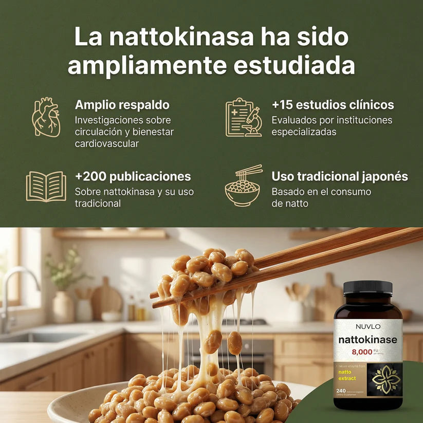 Encabezado
